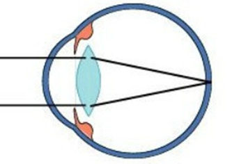 1746615897178217.png 图片14.png